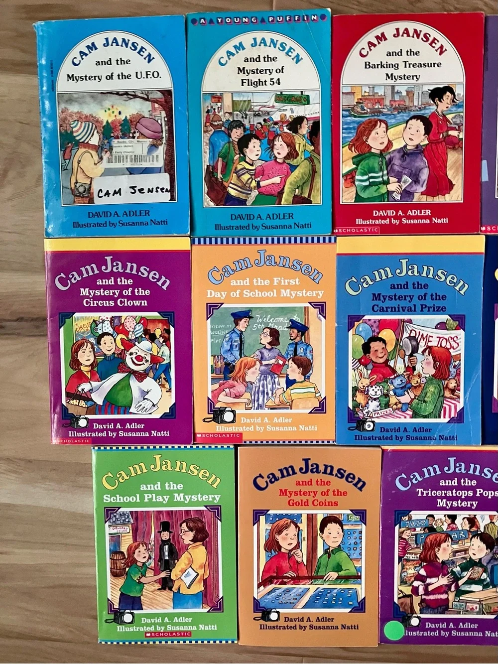 Cam Jansen Mystery Books Lot of 14  Paperback